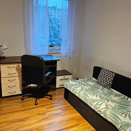 Sweet & Sweet Cats & Fast Internet * Вроцлав