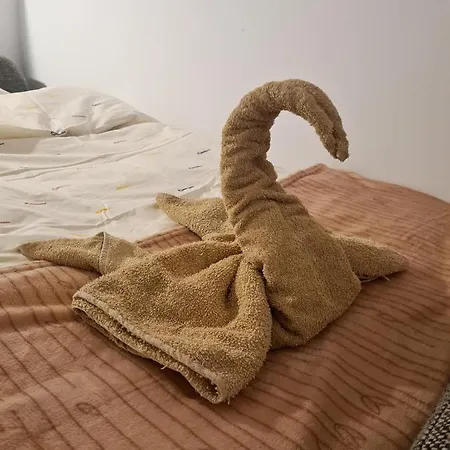 Sweet & Sweet Cats & Fast Internet * 弗罗茨瓦夫