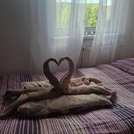 Hostal Sweet & Sweet Cats & Fast Internet