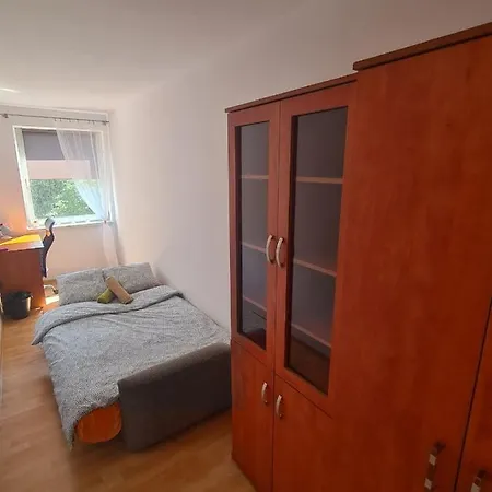 Sweet & Sweet Cats & Fast Internet 弗罗茨瓦夫