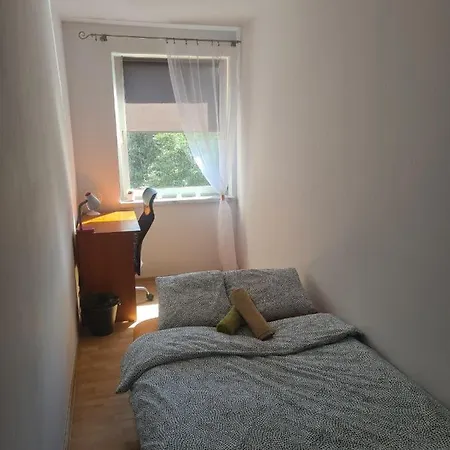 Sweet & Sweet Cats & Fast Internet 旅馆