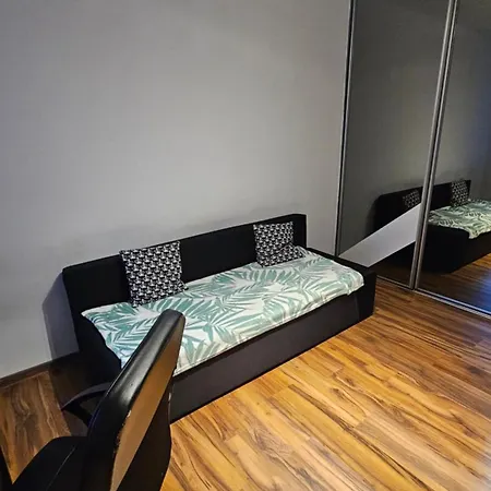 旅馆 Sweet & Sweet Cats & Fast Internet