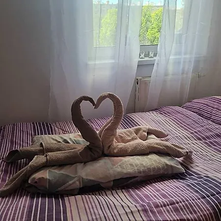 Hostel Sweet & Sweet Cats & Fast Internet Wroclaw