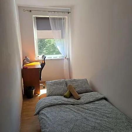 Sweet & Sweet Cats & Fast Internet * Wroclaw
